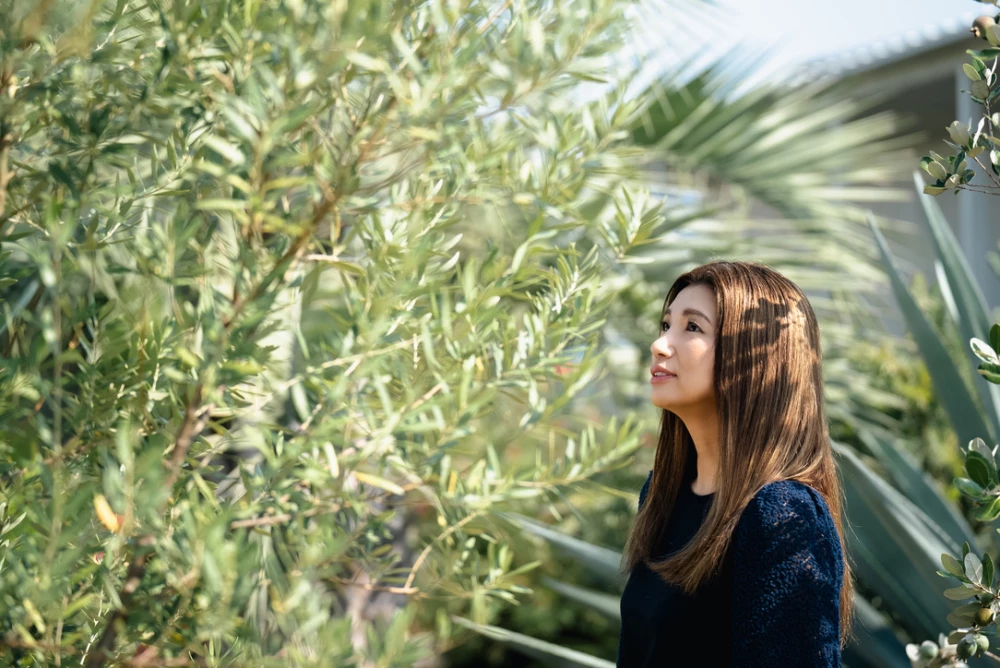 Japandi ~ The Nature of Design ~