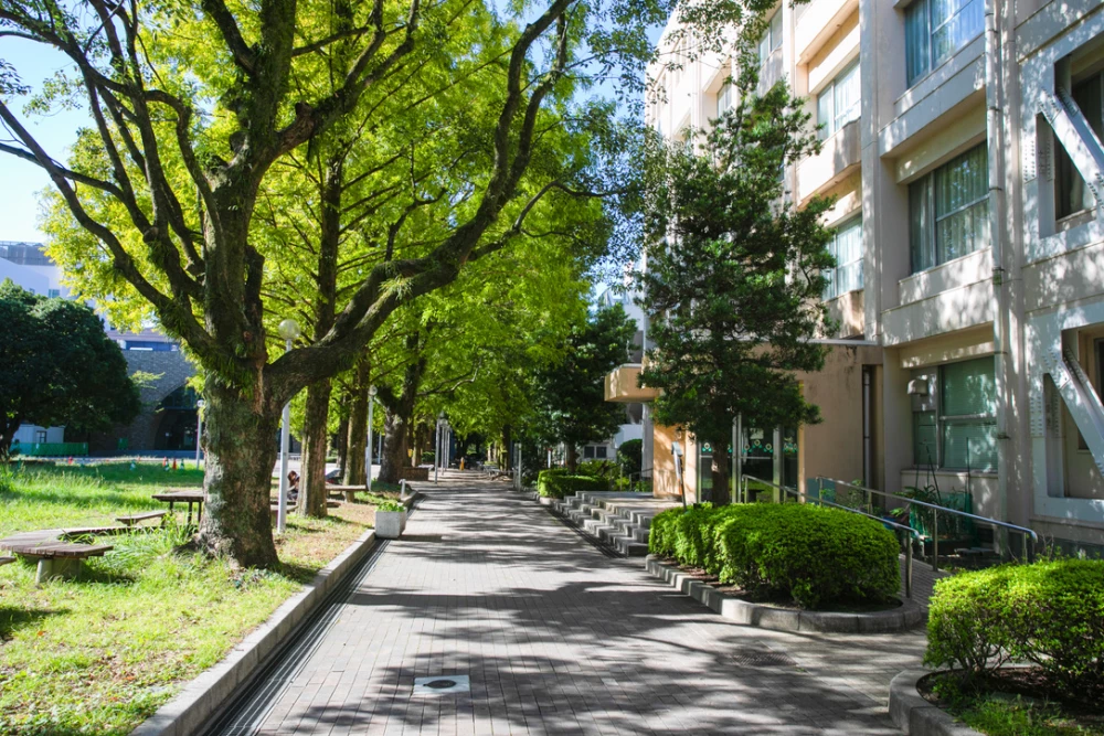 Photo of Self-Branding Entrepreneurial Skills: Creating New Value for the Next Generation